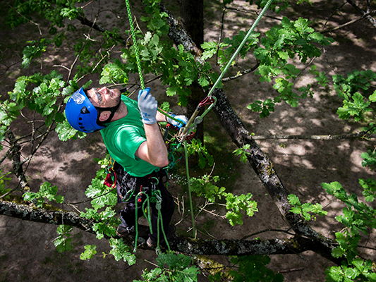 Arborist climbing on 2 rope wrenches